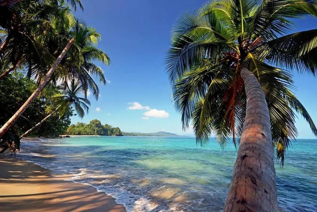Roca Mar Rocawelch Puerto Viejo Aparthotel Puerto Viejo de Talamanca Ngoại thất bức ảnh